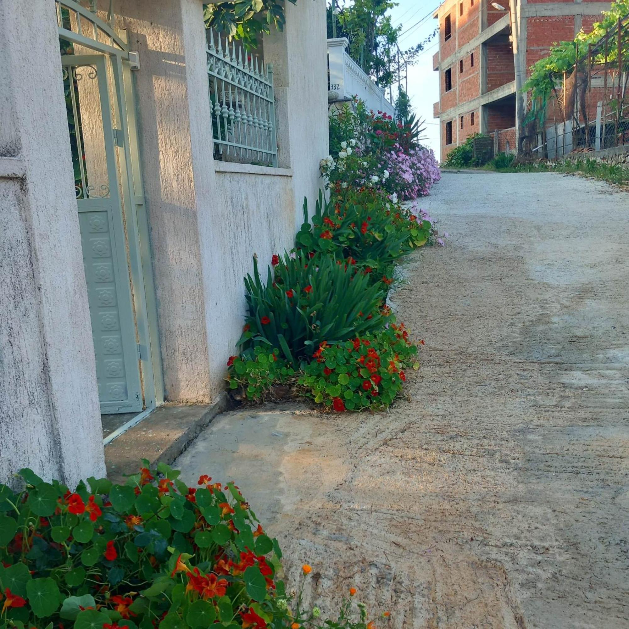 Sarsed Home, Sarandë エクステリア 写真